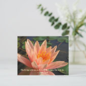 Mooie Oranje waterlelie Briefkaart (Staand voorkant)
