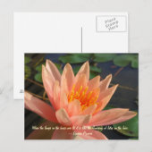 Mooie Oranje waterlelie Briefkaart (Voorkant / Achterkant)