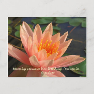 Mooie Oranje waterlelie Briefkaart