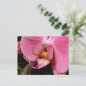 Mooie orchidee foto's briefkaart (Staand voorkant)