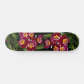 Mooie orchidee, miltonihybride persoonlijk skateboard (Horizontaal)
