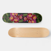 Mooie orchidee, miltonihybride persoonlijk skateboard (Horizontaal)