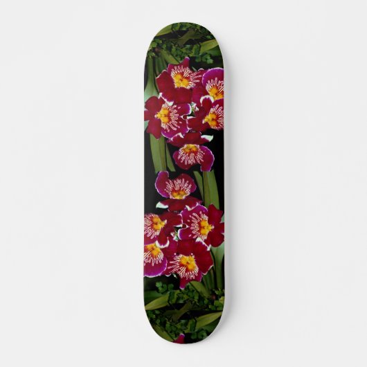 Mooie orchidee, miltonihybride persoonlijk skateboard (Voorkant)