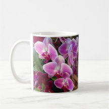 Mooie orchidee Mok