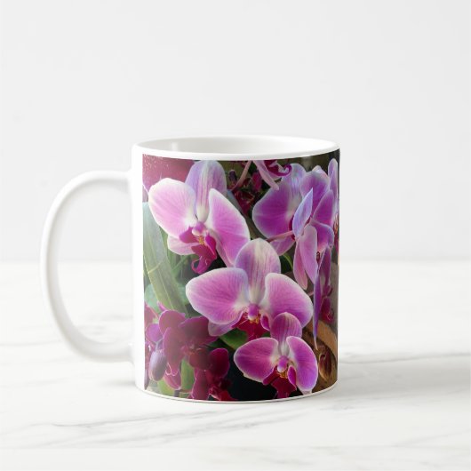 Mooie orchidee Mok (Links)