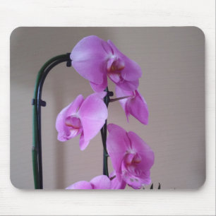 Mooie orchidee-muis muismat