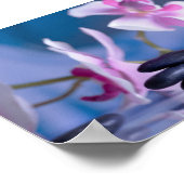 Mooie Orchidee, Zen Stenen Poster (Hoek)