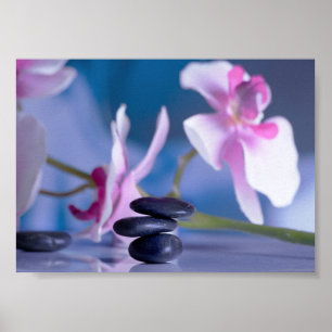 Mooie Orchidee, Zen Stenen Poster