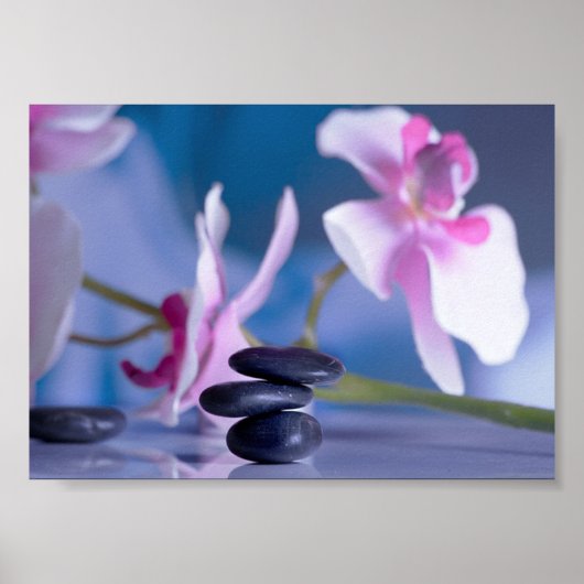 Mooie Orchidee, Zen Stenen Poster (Voorkant)