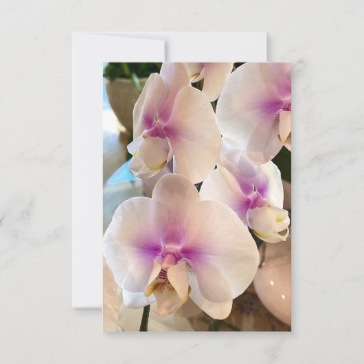 Mooie Orchideeën Bedankkaart (Voorkant)