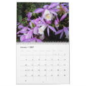 Mooie orchideeën Floral fotografisch Kalender (Jan 2027)