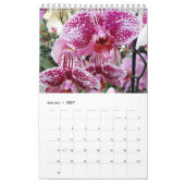Mooie orchideeën kalender (Jan 2027)