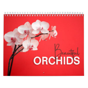 Mooie orchideeën met de agenda voor de muur kalender