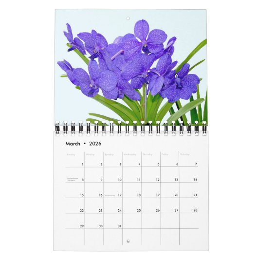 Mooie Orchideeën Natuur Fotografie Kalender (Mar 2026)
