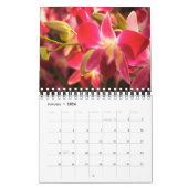 Mooie Orchideeën Natuur Fotografie Kalender (Jan 2026)
