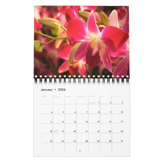 Mooie Orchideeën Natuur Fotografie Kalender (Jan 2026)