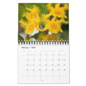 Mooie Orchideeën Natuur Fotografie Kalender (Feb 2026)