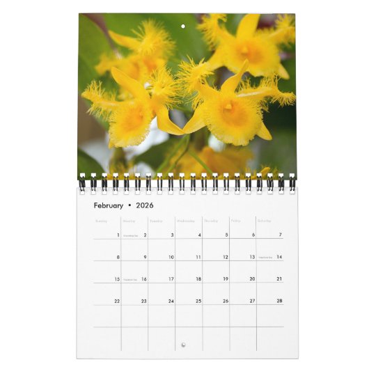 Mooie Orchideeën Natuur Fotografie Kalender (Feb 2026)