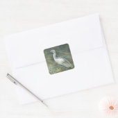 Mooie orebird Wading in water Art Vierkante Sticker (Envelop)
