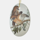 Mooie  ornament (Links)