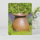 Mooie ornamental pot (Staand voorkant)