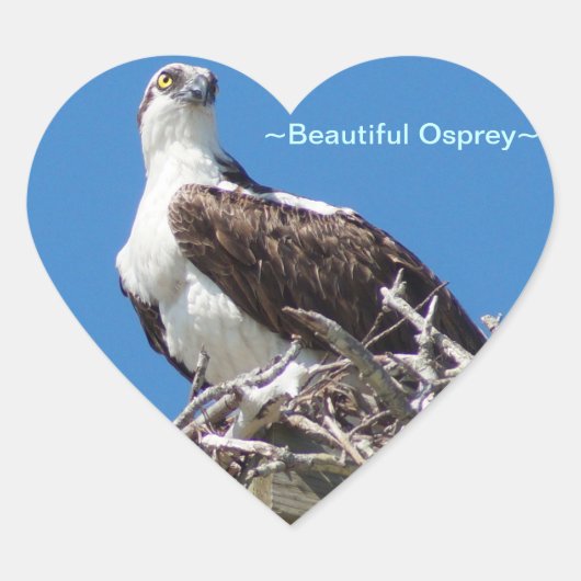 Mooie Osprey Hawk Heart Sticker (Voorkant)