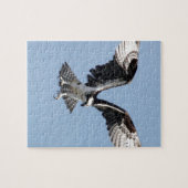Mooie Osprey-vogel op zoek naar prooi Legpuzzel (Horizontaal)
