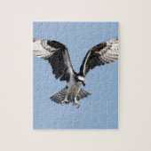 Mooie Osprey-vogel op zoek naar prooi Legpuzzel (Verticaal)