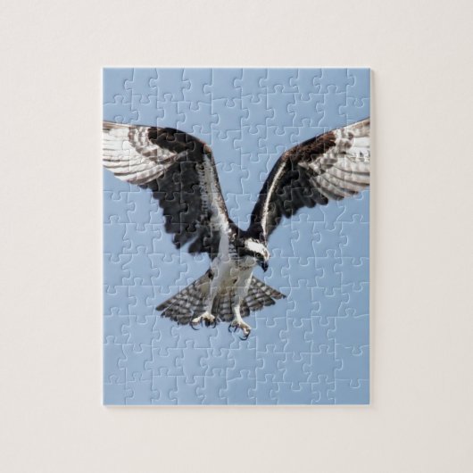 Mooie Osprey-vogel op zoek naar prooi Legpuzzel (Verticaal)