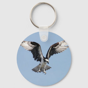 Mooie Osprey-vogel op zoek naar prooi Sleutelhanger