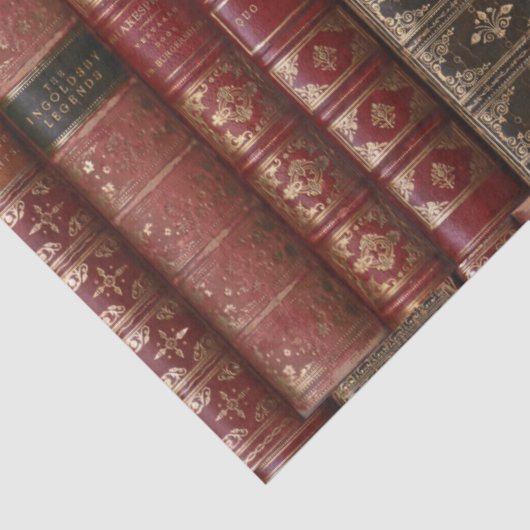 Mooie oude boekencijnen (woordenboek 2) tissuepapier (Detail)