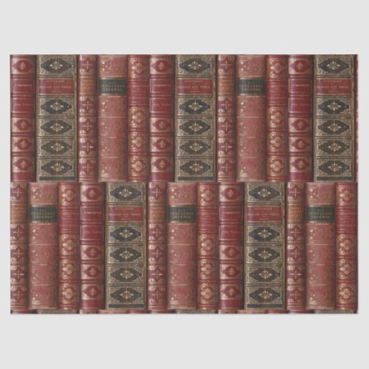 Mooie oude boekencijnen (woordenboek 2) tissuepapier (Voorkant)