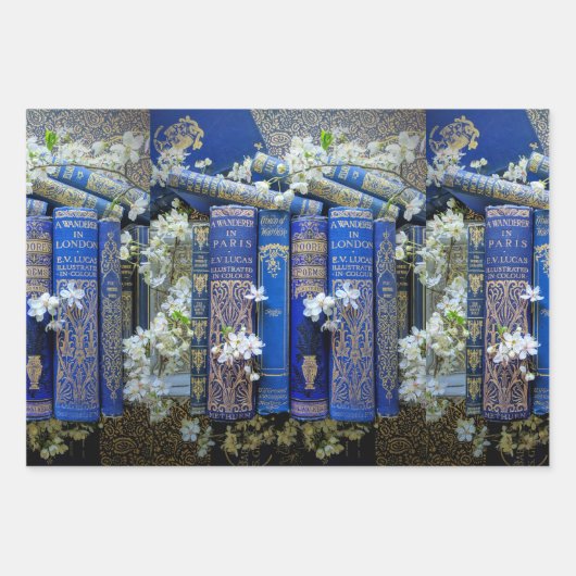 Mooie oude bogen, stekels en bloemen inpakpapier vel (Voorkant 3)