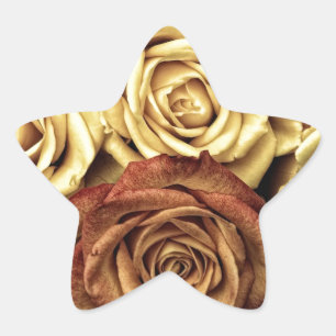 Mooie oude Rozen Ster Sticker