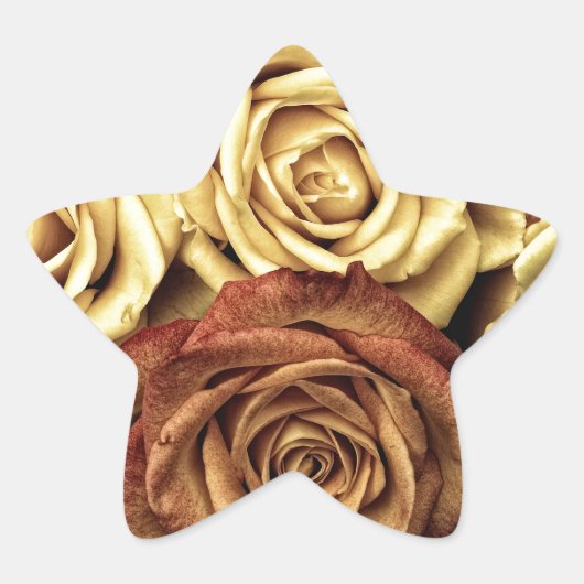 Mooie oude Rozen Ster Sticker (Voorkant)