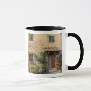 Mooie oude woning met bloemen bij San Gimignano Mok