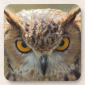 Mooie Owl Bier Onderzetter (Voorkant)