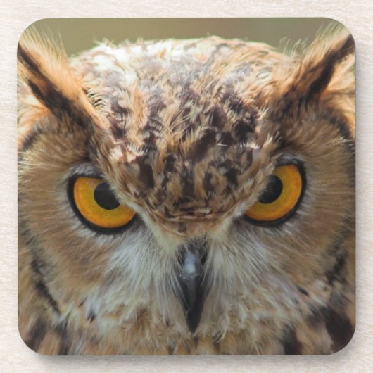 Mooie Owl Bier Onderzetter (Voorkant)