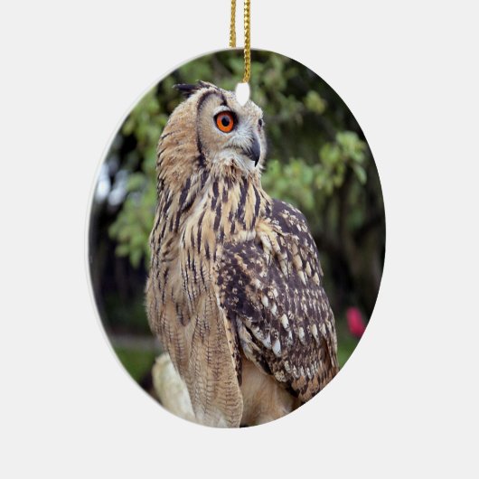 Mooie Owl Wildlife Fotogeschenken Keramisch Ornament (Rechts)