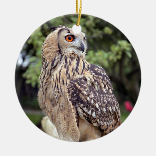 Mooie Owl Wildlife Fotogeschenken Keramisch Ornament (Voorkant)