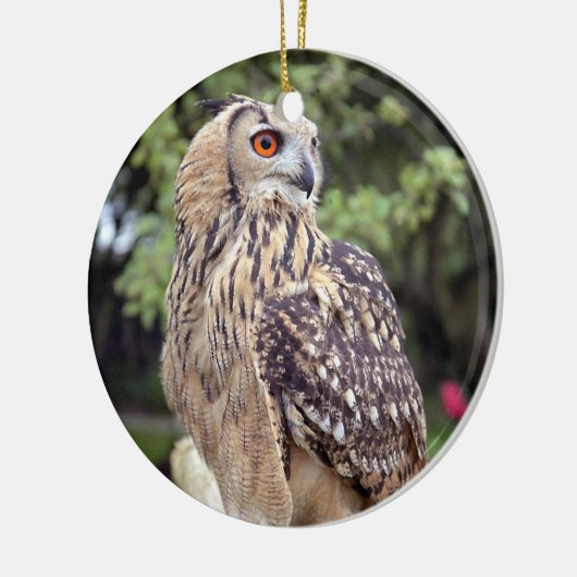 Mooie Owl Wildlife Fotogeschenken Keramisch Ornament (Links)