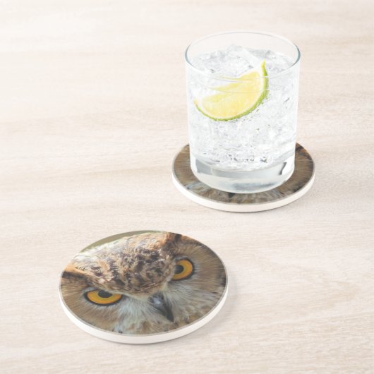 Mooie Owl Zandsteen Onderzetter (Zijkant)