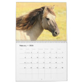 Mooie Paard Afbeeldingen Afbeeldingen 2024 Kalender (Feb 2026)