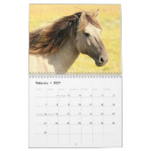 Mooie Paard Afbeeldingen Afbeeldingen 2024 Kalender (Feb 2027)
