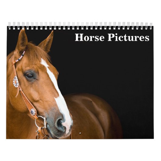 Mooie Paard Afbeeldingen Afbeeldingen 2025 Kalender (Hoes)