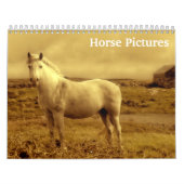 Mooie Paard Afbeeldingen Afbeeldingen 2025 Kalender (Hoes)