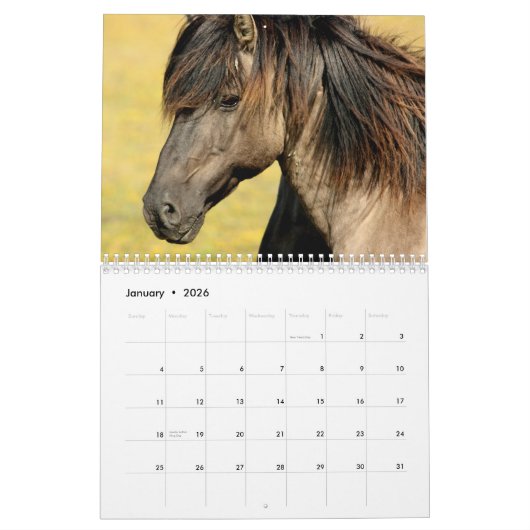 Mooie Paard Afbeeldingen Afbeeldingen 2025 Kalender (Jan 2026)