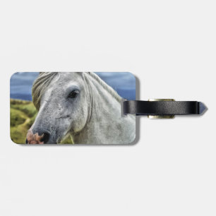 Mooie Paard Bagagelabel