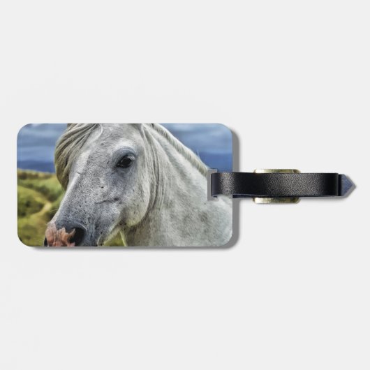 Mooie Paard Bagagelabel (Achterkant horizontaal)