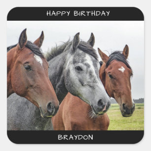Mooie paard Birthday Vierkante Sticker